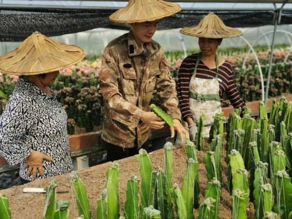 长宏网 行走在田间地头，利用专业理论知识助力乡村振兴！这很“新青年”！