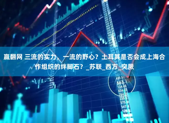 赢翻网 三流的实力，一流的野心？土耳其是否会成上海合作组织的绊脚石？_苏联_西方_突厥