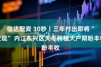 信达配资 30秒丨三年付出即将“变现” 内江东兴区天冬种植大户期盼丰收