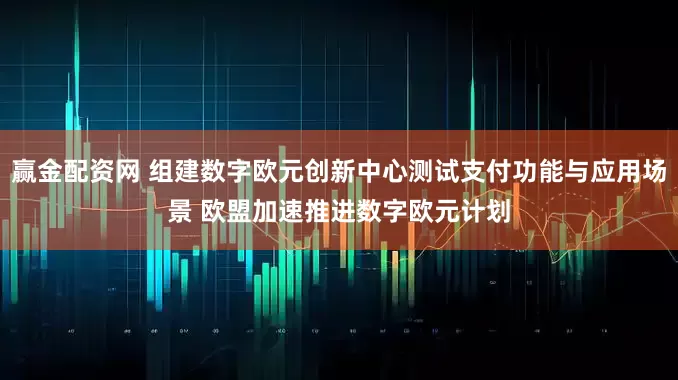 赢金配资网 组建数字欧元创新中心测试支付功能与应用场景 欧盟加速推进数字欧元计划