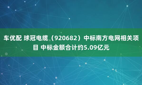 车优配 球冠电缆（920682）中标南方电网相关项目 中标金额合计约5.09亿元