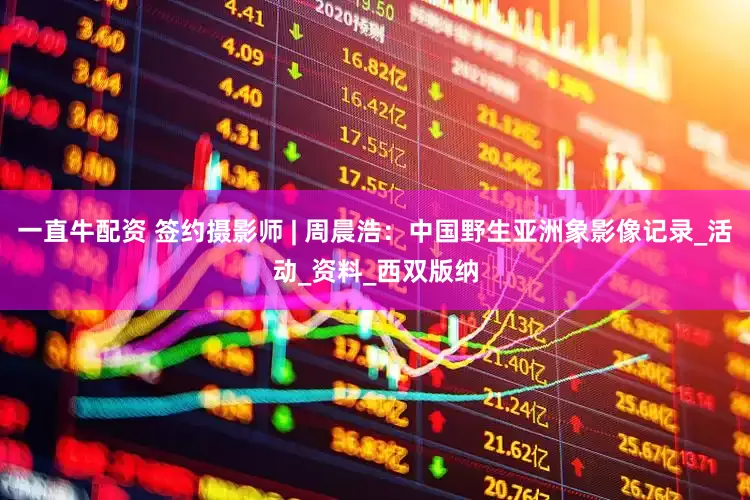 一直牛配资 签约摄影师 | 周晨浩：中国野生亚洲象影像记录_活动_资料_西双版纳