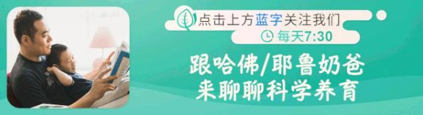 淘优配 《胡桃夹子》第十一集之《到达肉嘟嘟国》