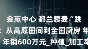 金赢中心 都兰藜麦“跳”上餐桌：从高原田间到全国厨房 年销600万元_种植_加工率_麦在风