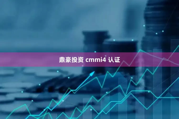 鼎豪投资 cmmi4 认证